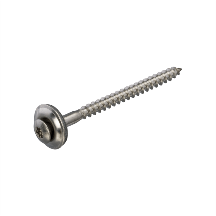 Monier torxschroef 5x40 mm 100 st rvs incl neopr volgring