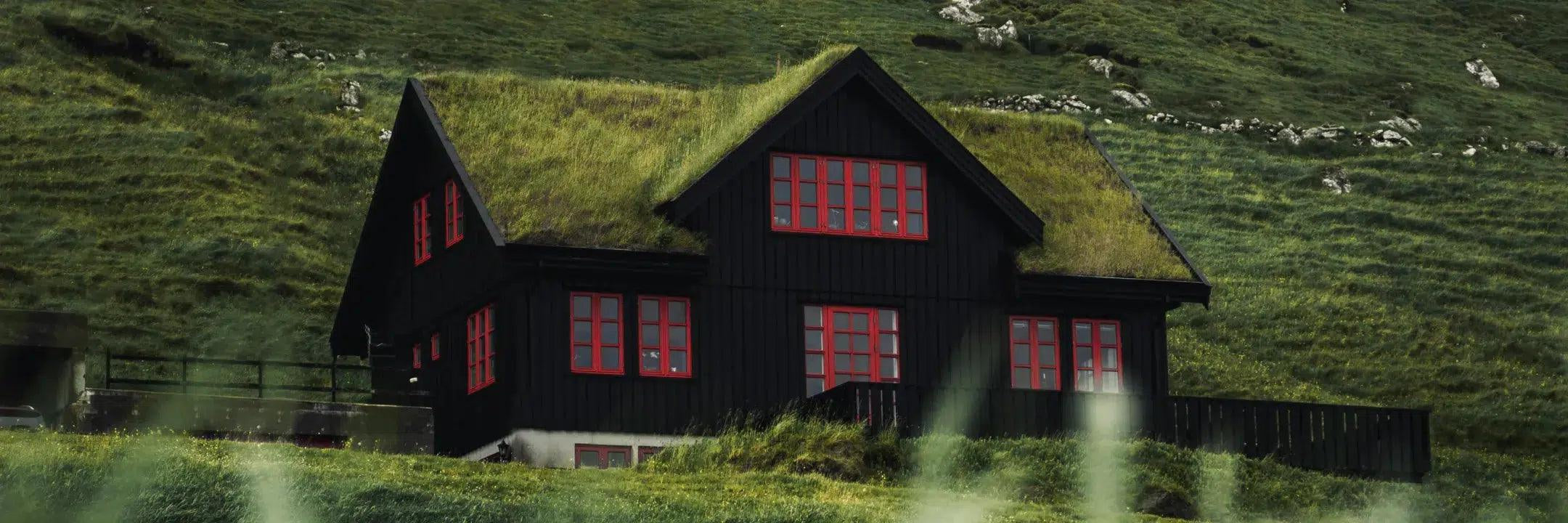 Groene daken en EPDM: een duurzame combinatie