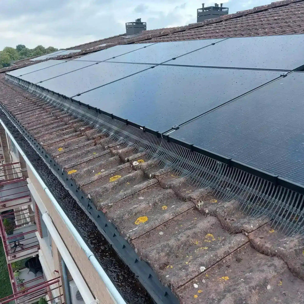 Vogelwering zonnepanelen