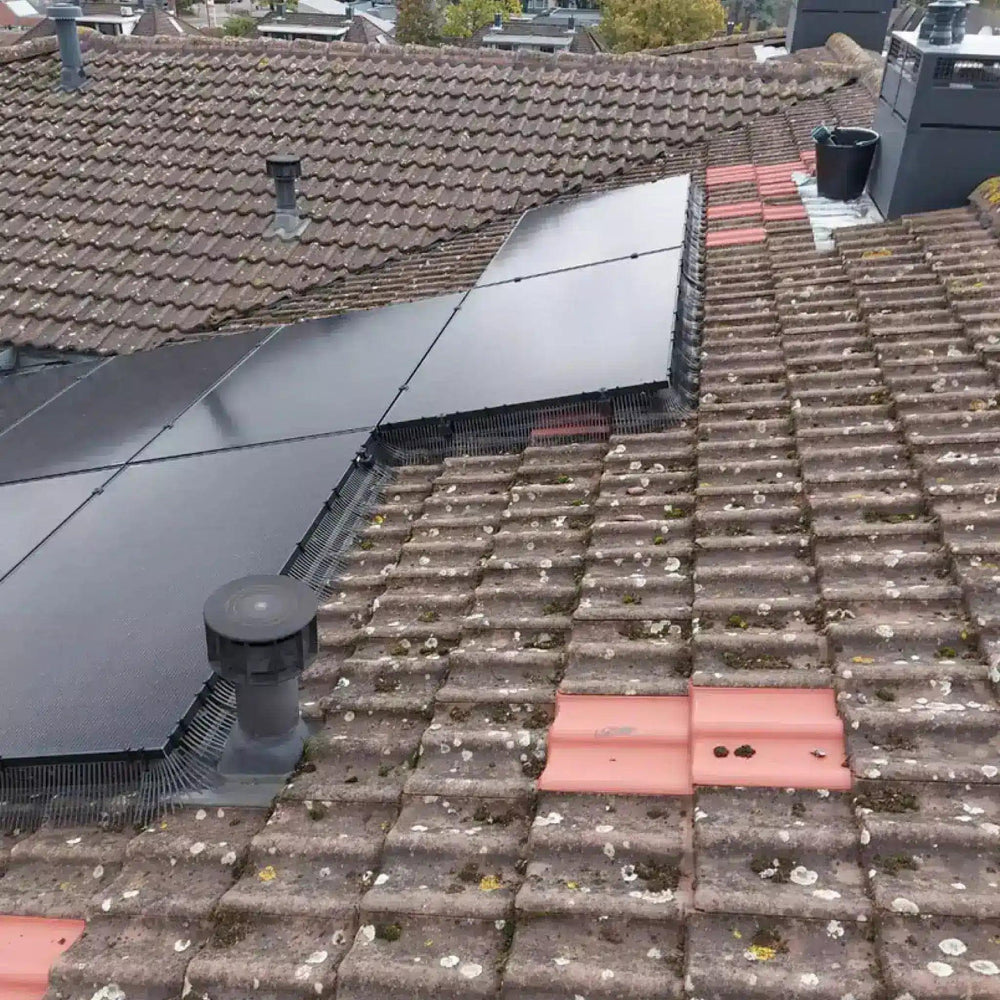 Vogelwering zonnepanelen